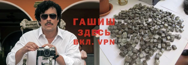 индика Заволжье