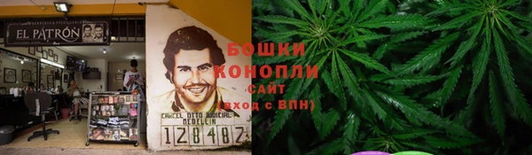 индика Заволжье