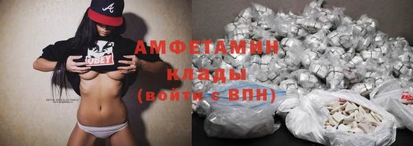 индика Заволжье