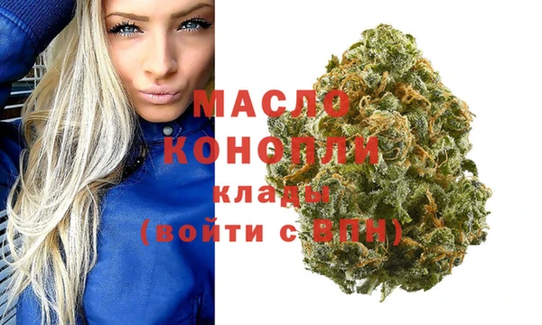 индика Заволжье