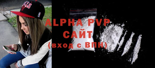 индика Заволжье