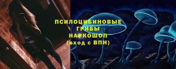 индика Заволжье