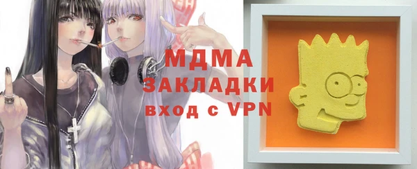 индика Заволжье