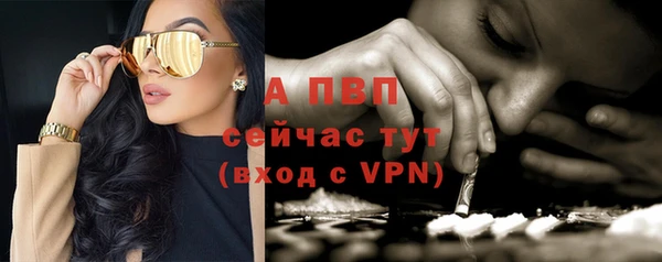 индика Заволжье