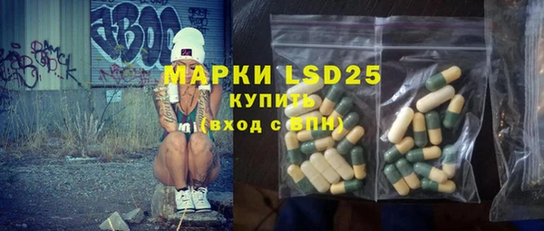 индика Заволжье