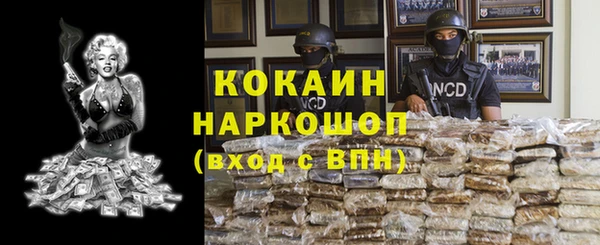 mdpv Заводоуковск