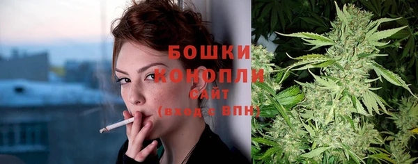 индика Заволжье