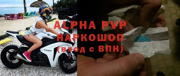 индика Заволжье