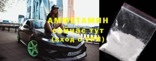 индика Заволжье
