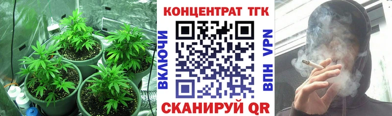 ТГК концентрат Новоржев