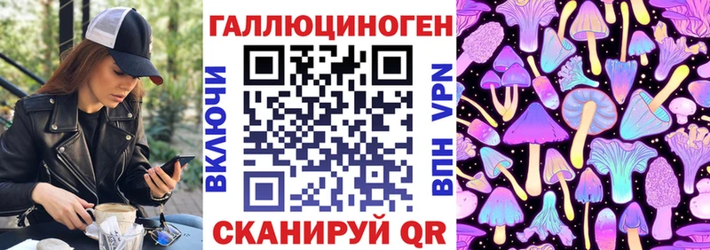 Галлюциногенные грибы Psilocybe  Новоржев 